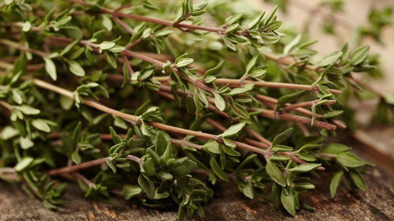 Bunch of Thyme