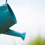 Watering Can