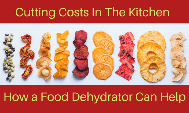 Ways to use a food dehydrator to save money