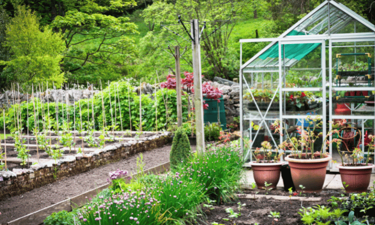 Garden All Year Round_ Unlock Your Garden's Potential - Greenhouse
