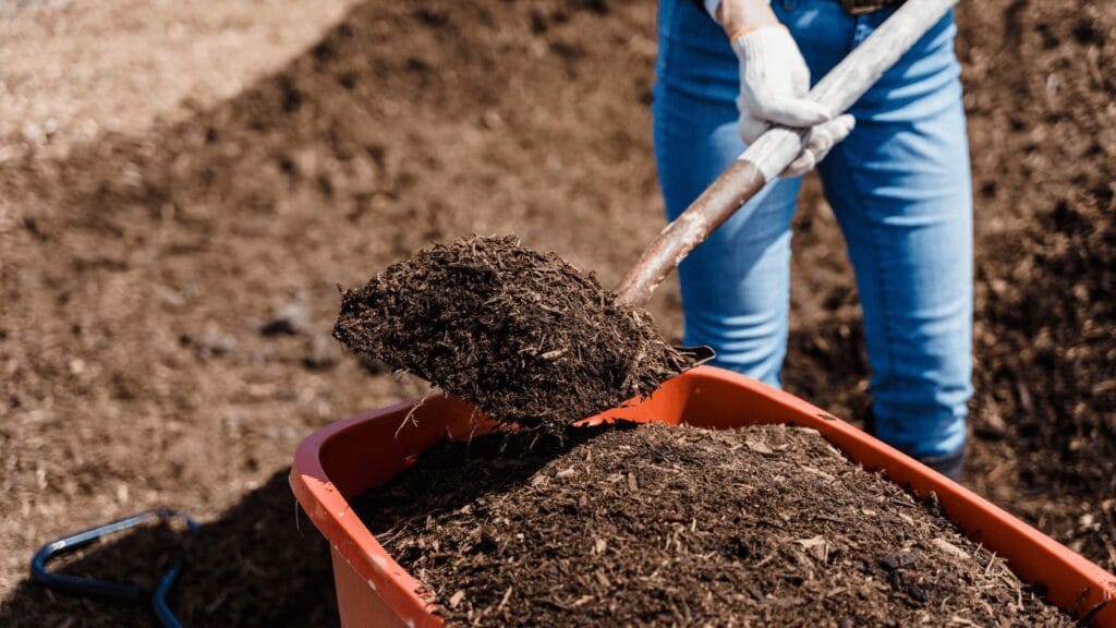 Mushroom compost