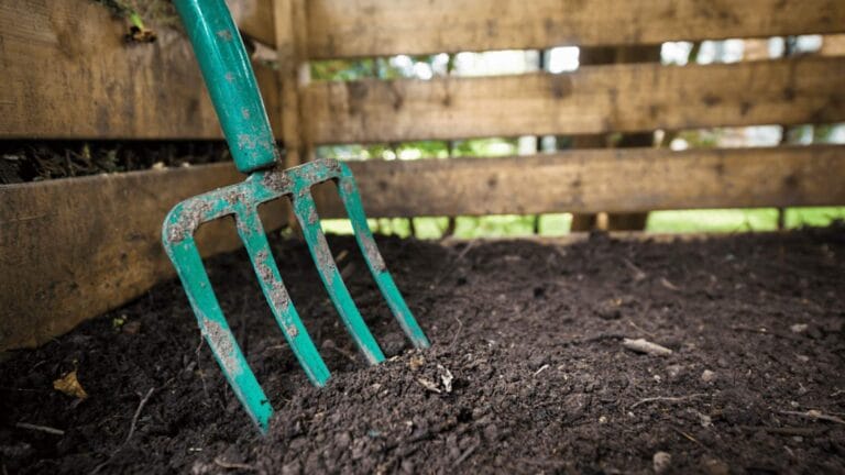 Musroom Compost Burn. Will mushroom compost burn your plants? Yes, if used incorrectly. Learn how to use it properly. pitch fork in compost