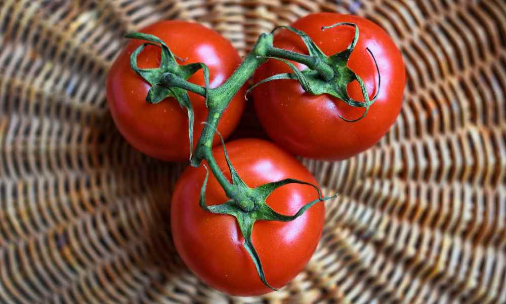 Tomatoes. Vegetables To Grow