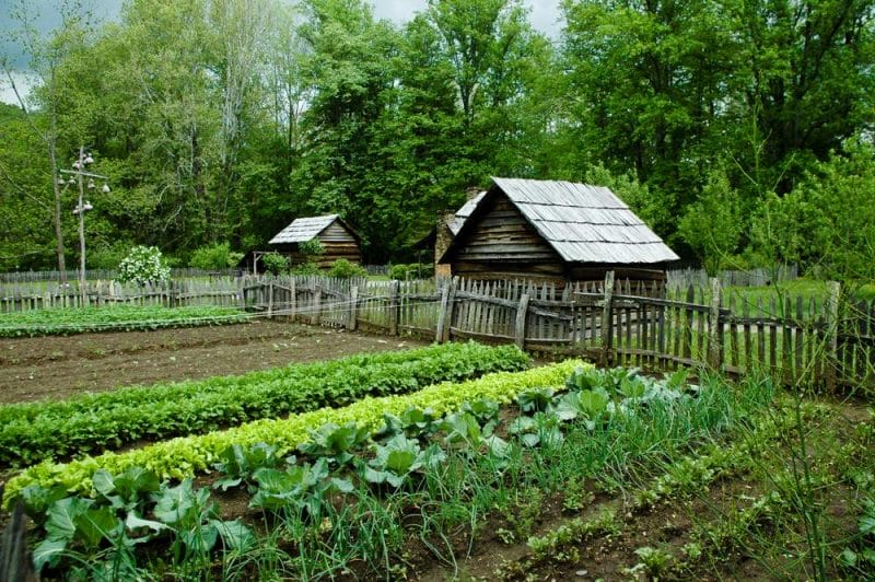 Vegetable Garden with gourd bird houses. Smoky Mountain National Park.