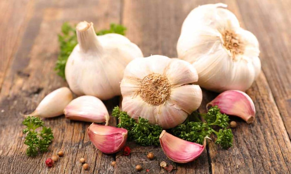 Garlic. whole clove of garlic