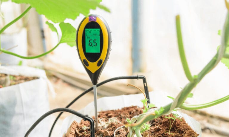 ph Soil Tester - testing soil ph. 5 signs of acidic soil.