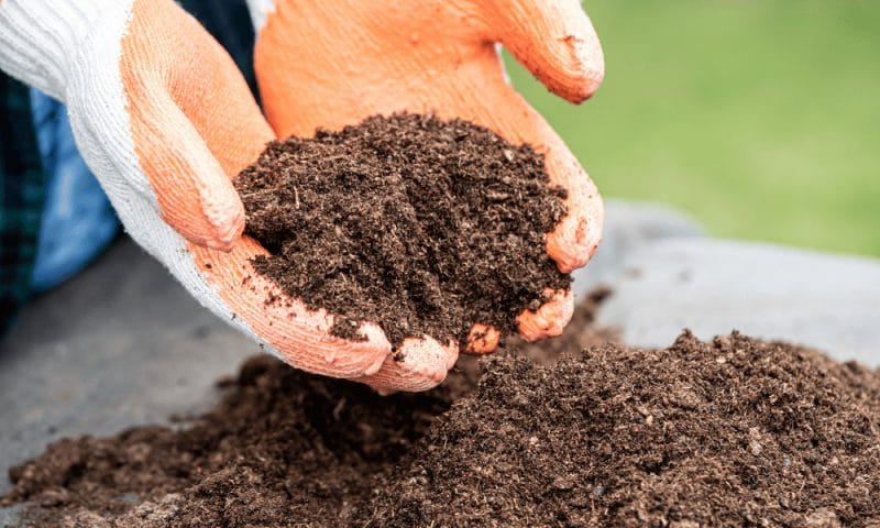 Soil. Person holding a hand full of soil