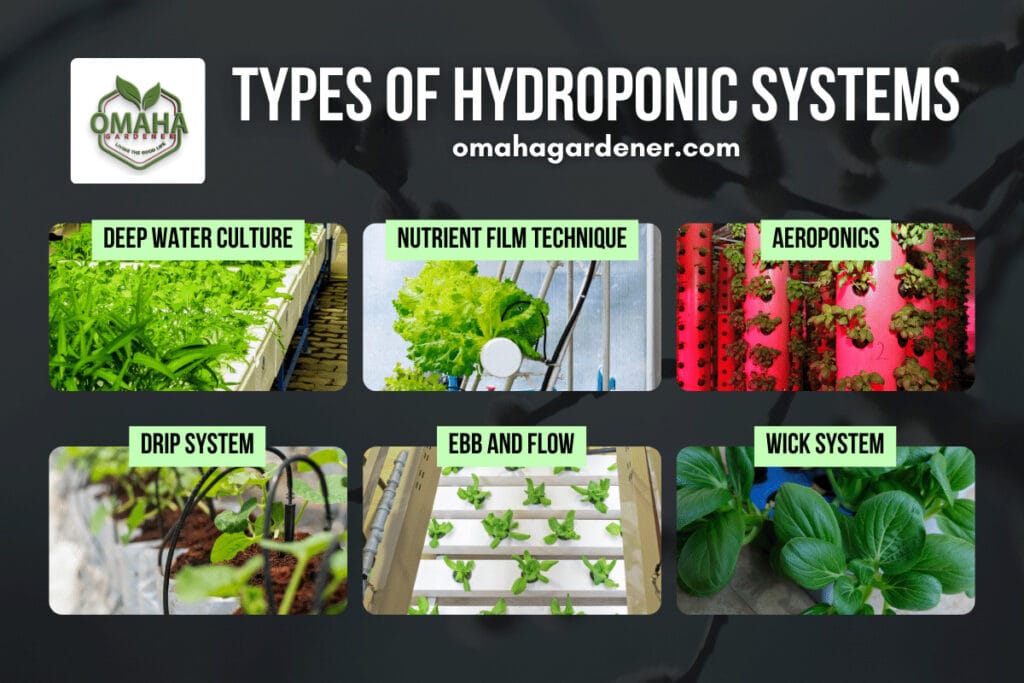 Types of hydroponic systems: Deep Water Culture Nutrient Film Technique Ebb and Flow Drip system Aeroponic Wick System
