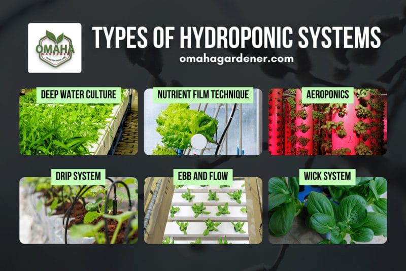 Types of hydroponic systems: Deep Water Culture
Nutrient Film Technique
Ebb and Flow
Drip system 
Aeroponic 
Wick System
hydroponics