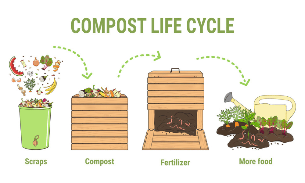 Composting Life Cycle