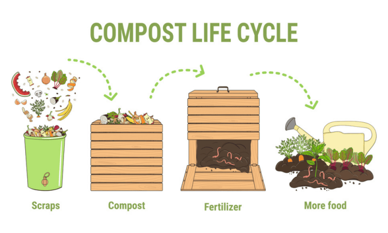 Compost life cycle