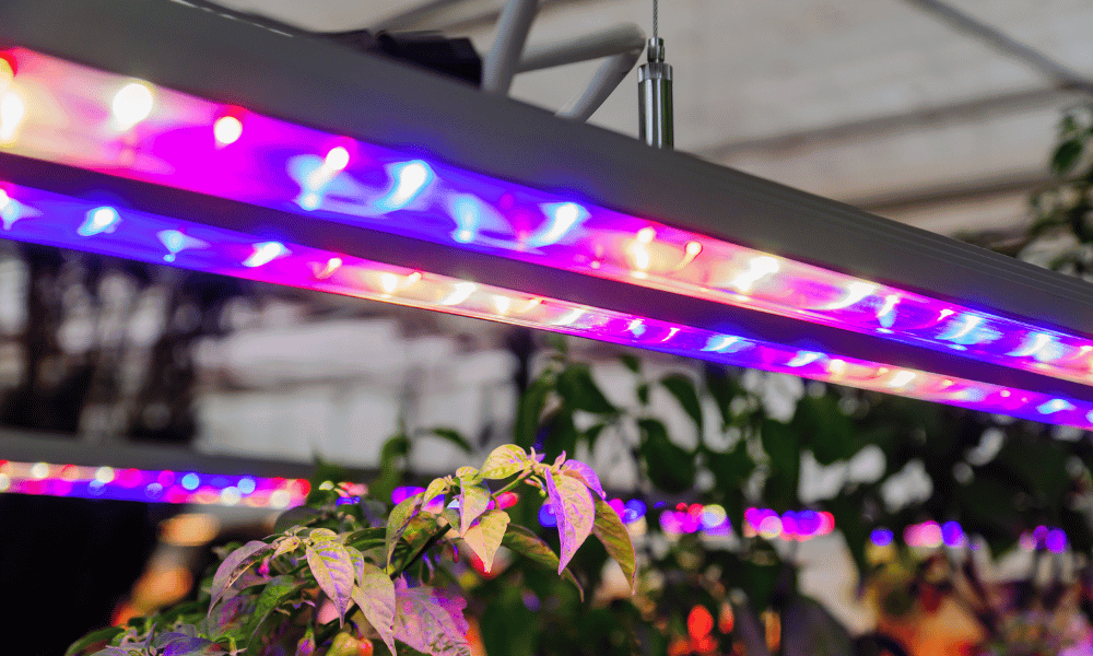 Grow lights