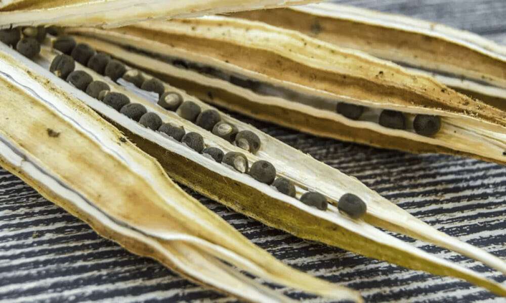 Okra pods on a wooden table.