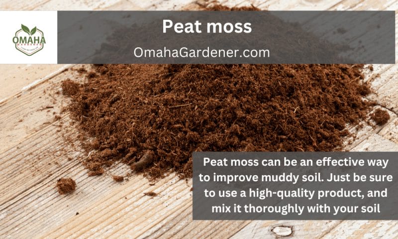 peat moss