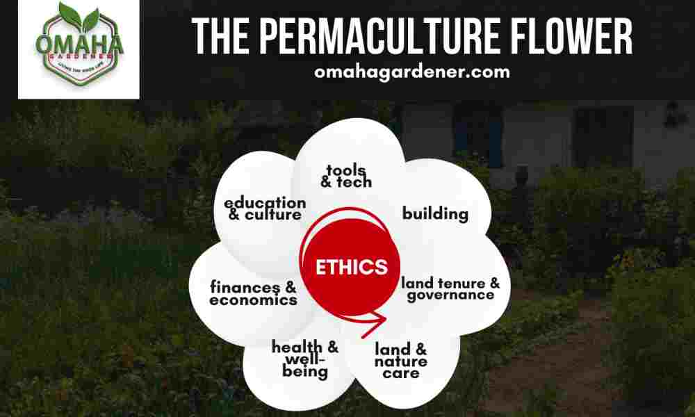 The permaculture flower using innovative garden techniques.