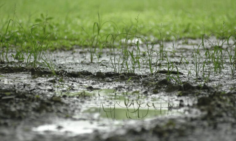 how to harden muddy soil