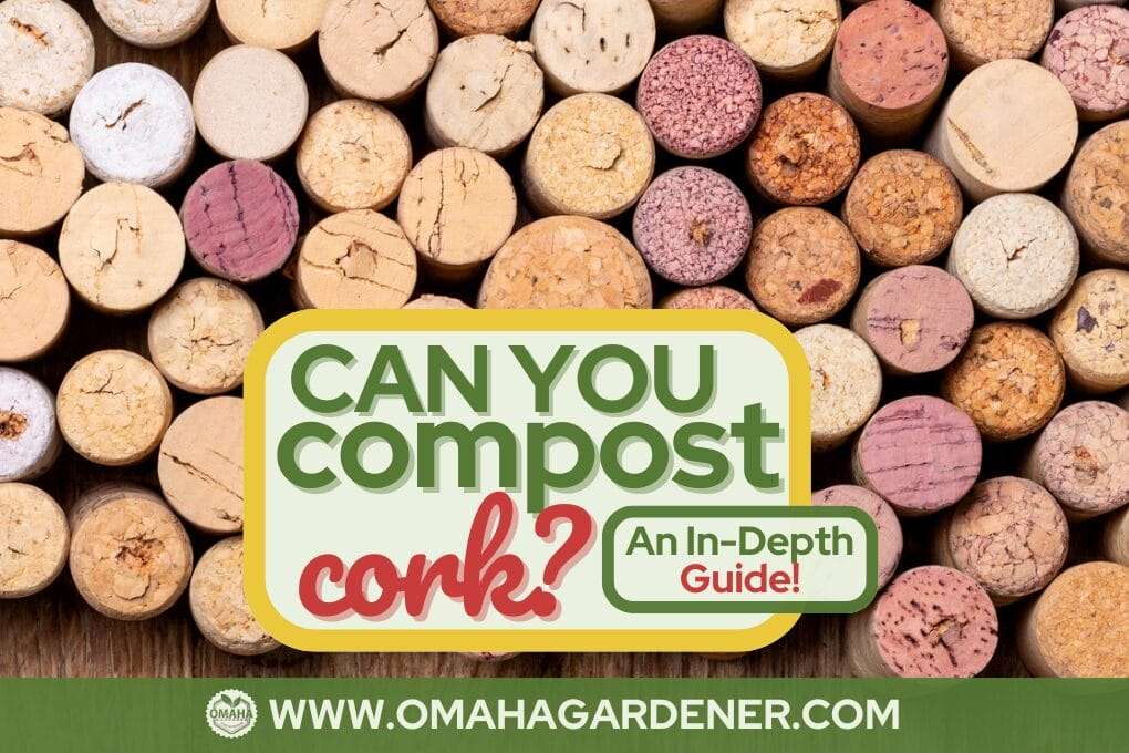 A collection of assorted wine corks, including synthetic corks, with a text overlay that reads, "Can You Compost Cork? An In-Depth Guide!" and a website address, "www.omahagardener.com." Discover how to add corks to your compost bin effectively. omahagardener.com