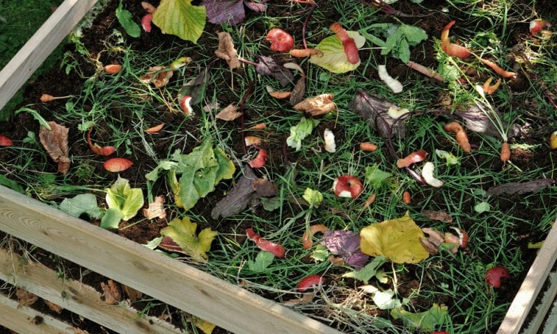 pallet compost bin