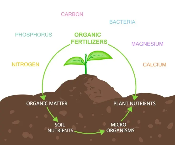 Image of organic fertilizer process.