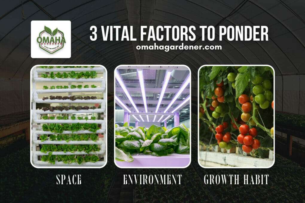 3 vital factors to potting soil.