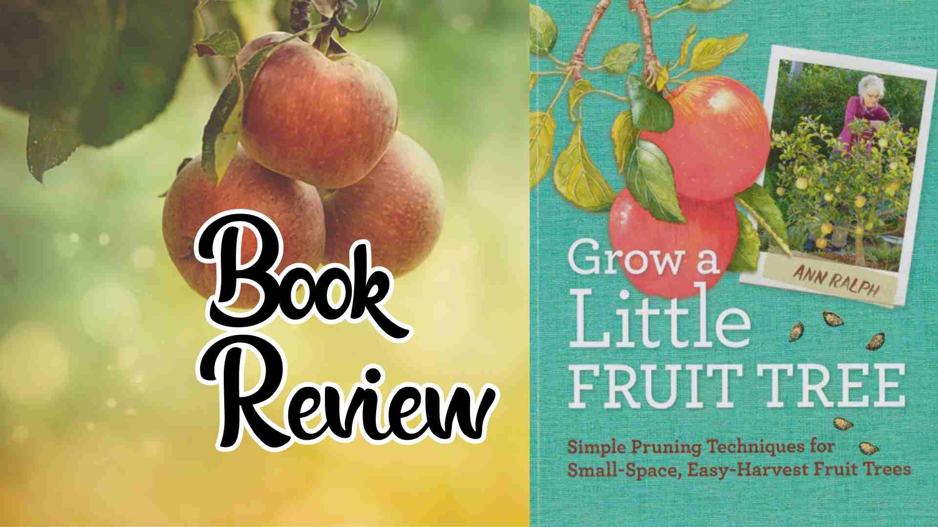 Grow a Little Fruit Tree book review with pruning tips. If you have a small garden and want to grow fruit trees, "Grow a Little Fruit Tree" is the perfect book for you. This comprehensive guide provides