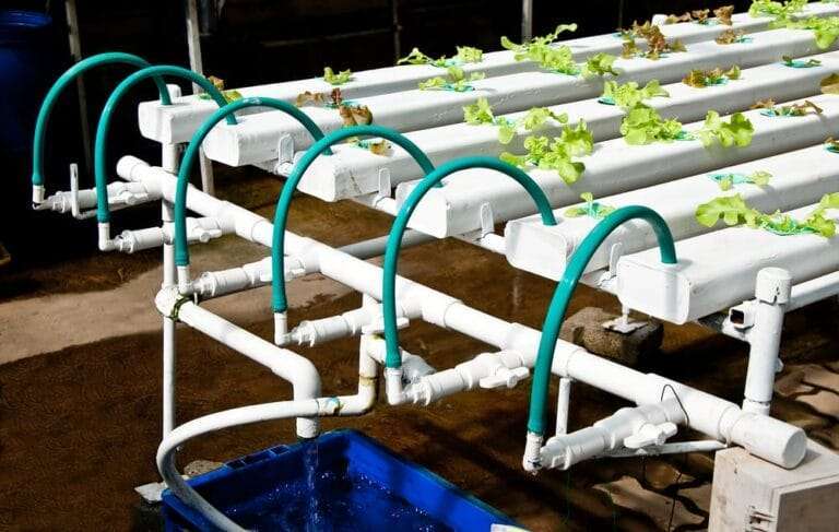 Are air pumps required in hydroponics. A hydroponic system with plants growing in it, powered by a hydroponics air pump.