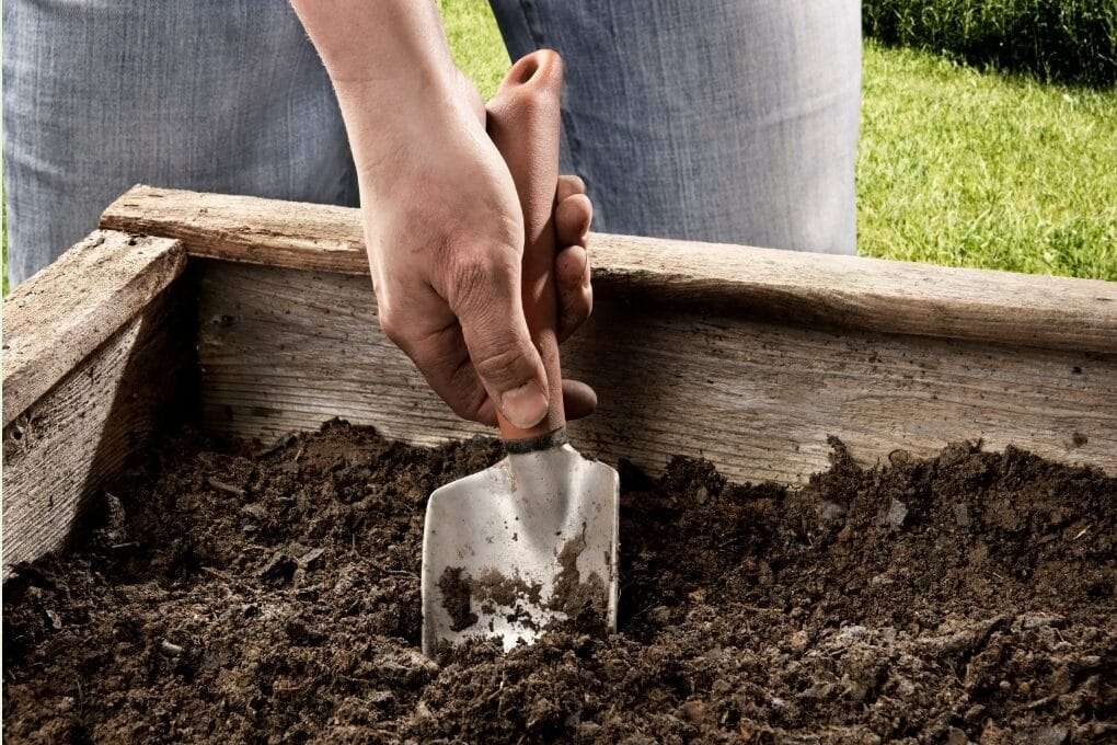 A person wearing jeans uses a small hand shovel to dig into the soil of a wooden garden bed, demonstrating the benefits of raised garden beds. omahagardener.com