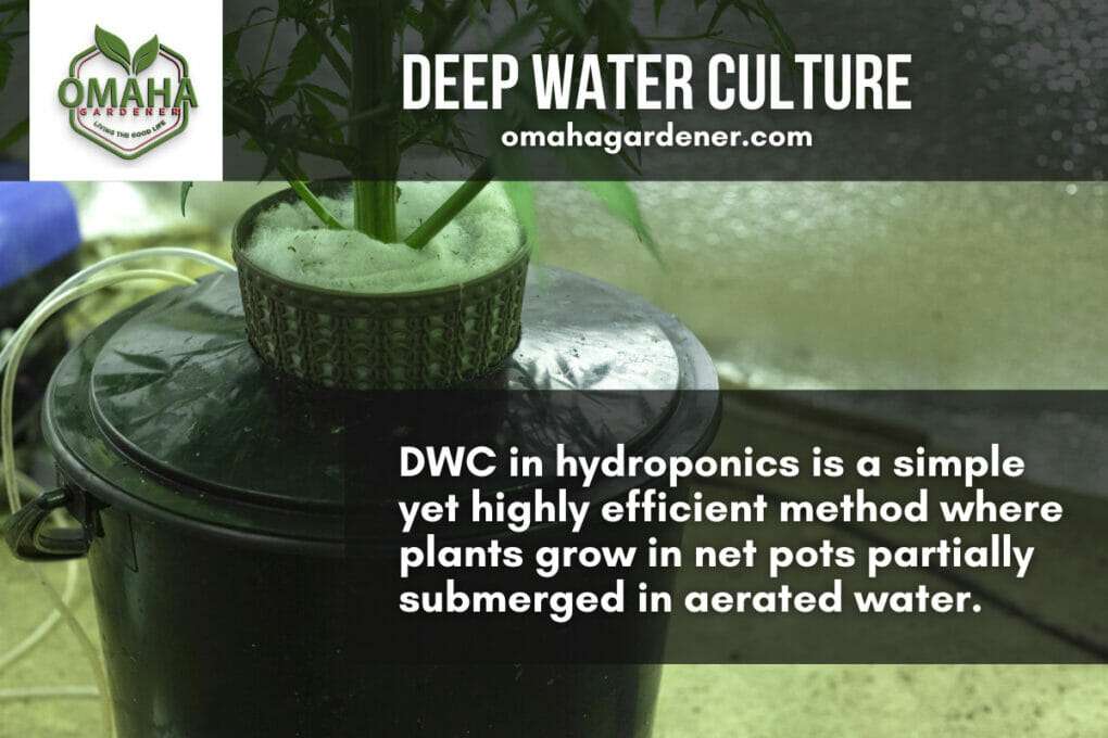 Deep water culture dwc in hydroponics is a simple where highly efficient method. 20 Gallon Hydroponic Reservoir