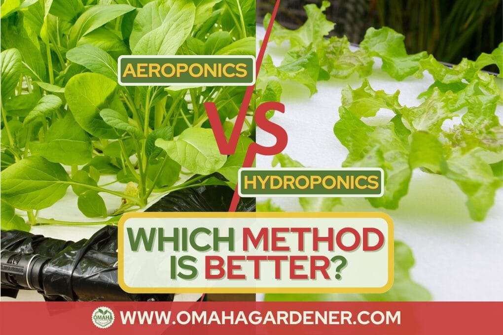 Graphic comparing cutting-edge aeroponics and hydroponics gardening methods with text overlay and images of leafy greens; includes logo and website address "omahagardener.com". omahagardener.com