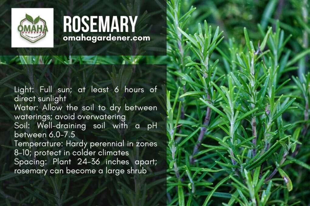 A poster showcasing the word rosemary and providing information on choosing the right herb and how long herbs take to grow.