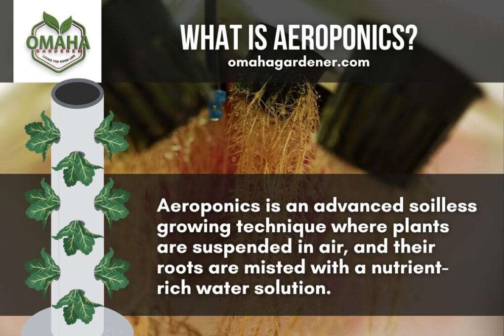 What is aeroponics? 