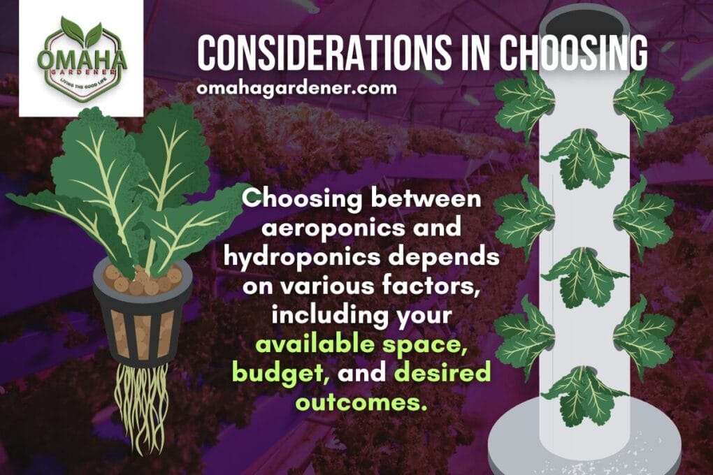 Considerations in choosing between hydroponic systems and cutting-edge aeroponics.