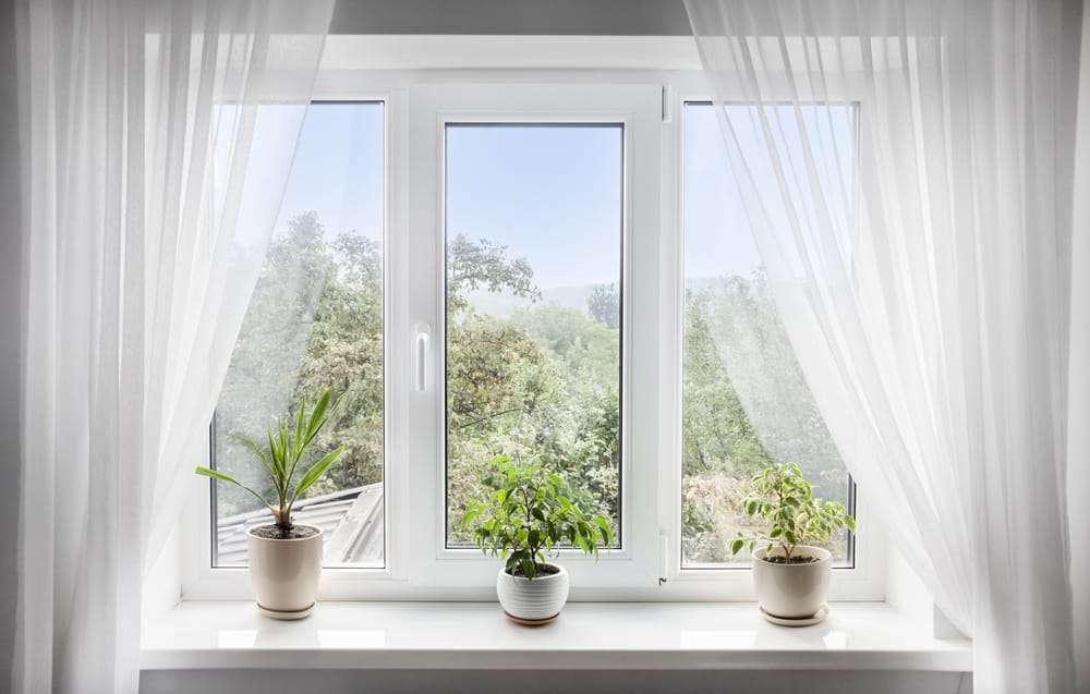 A white window with two indoor plants on it.
