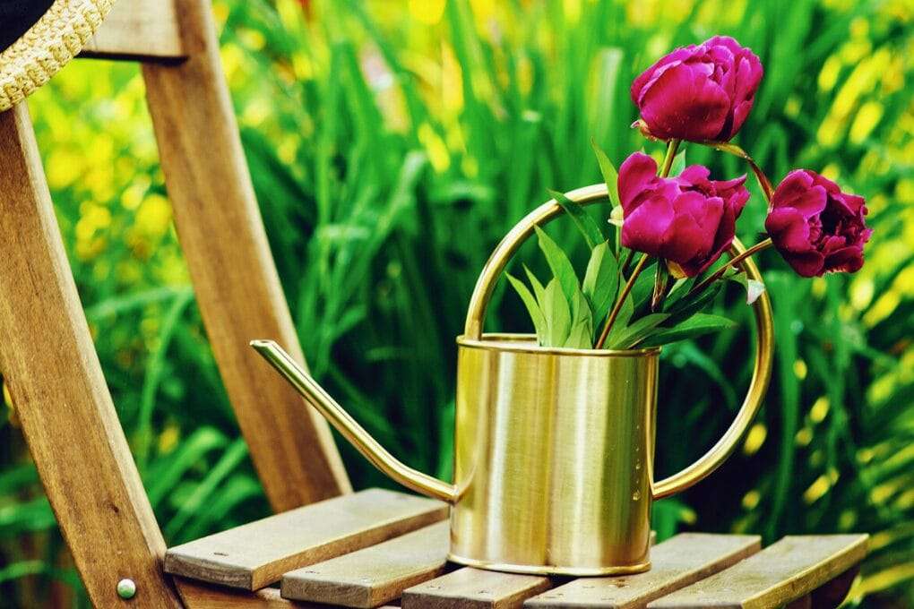 A gold-colored watering can with purple flowers, one of the best perennial flowers for your garden in USDA zones 3-8, sits on a wooden chair surrounded by green plants. omahagardener.com