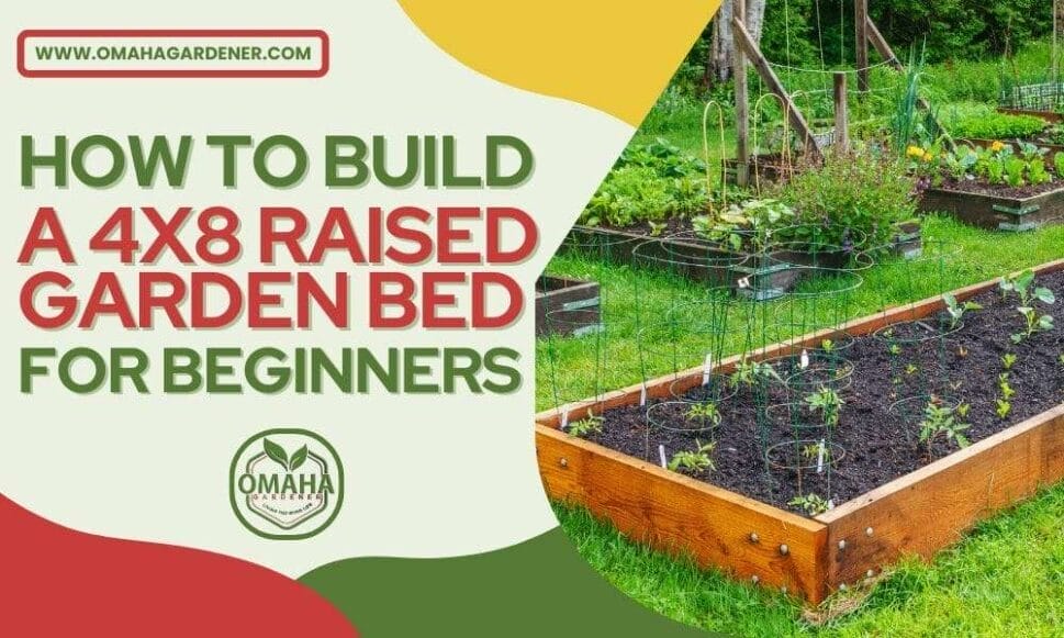 how-to-build-a-4x8-raised-garden-bed-for-beginners