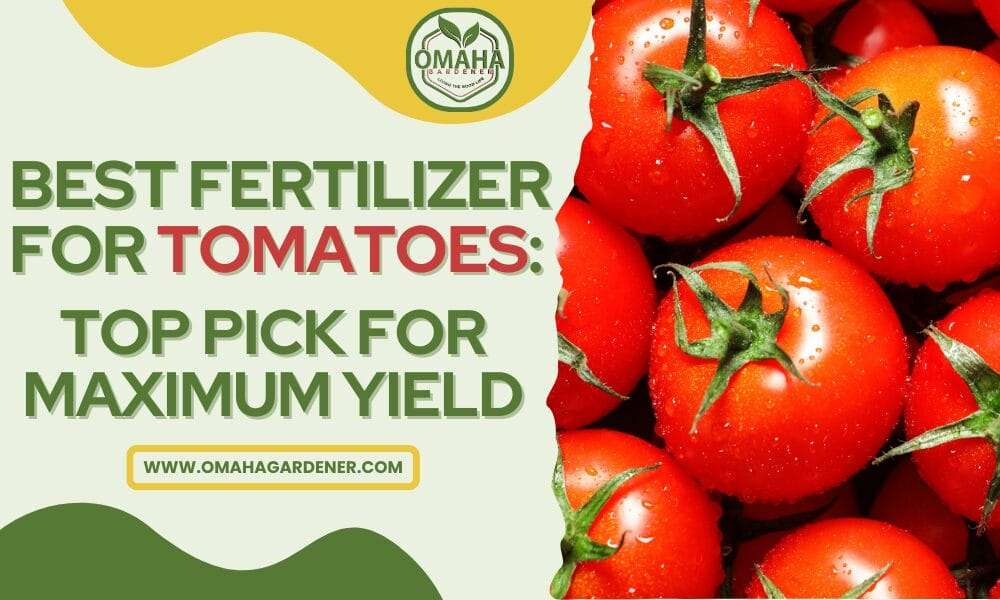 Best Fertilizer For Tomatoes: Top Pick For Maximum Yield