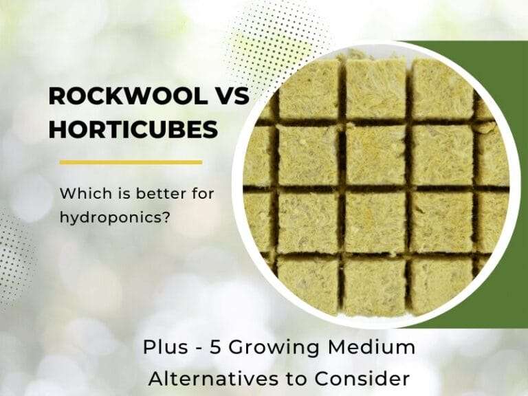 Rockwool vs horticubes: Which is better for hydroponics? Find out the benefits of rockwool and how it compares to Oasis Horticubes.
