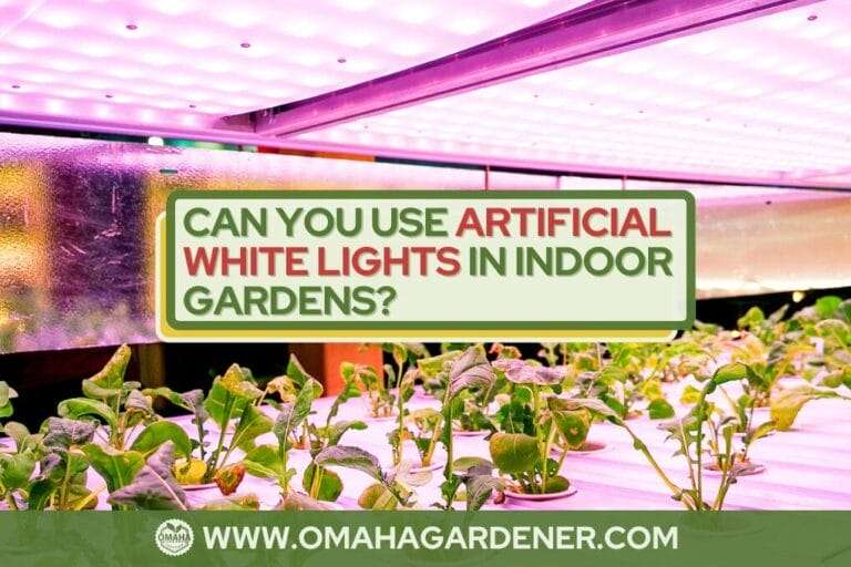 A vibrant indoor garden under artificial lights with a sign asking "can you use artificial lights in indoor gardens?" from omahagardener.com. omahagardener.com