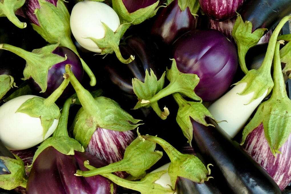 Various types of eggplants, including purple, white, and striped varieties, are piled together with their recognizable green caps and stems. omahagardener.com