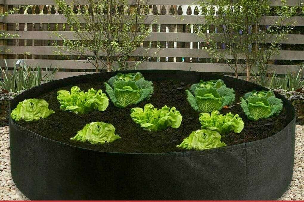 A circular fabric raised garden bed containing leafy green vegetables, set against a background of wooden fencing and small plants. omahagardener.com