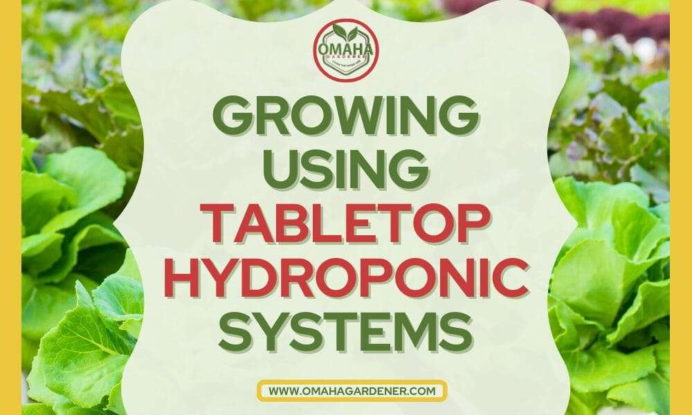 Discover Tabletop Hydroponic Systems for efficient indoor gardening.