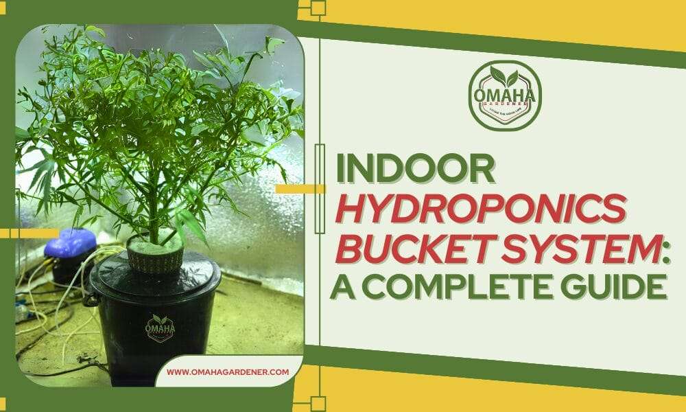 An advertisement for an indoor hydroponics maintenance guide with air pump and air stones, presented by Omaha Gardener.