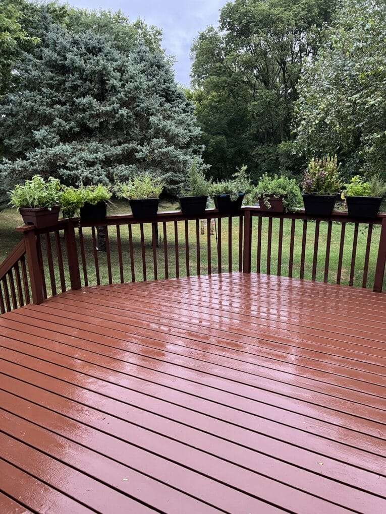 Wooden deck with potted veggies that thrive in containers overlooking a green garden after rain.