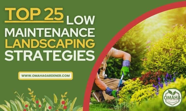 Gardening tips advertisement featuring a person maintaining plants with text "Top 25 low maintenance landscaping strategies.
