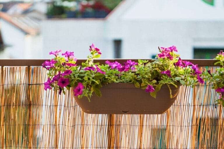 A beige planter with vibrant pink flowers is mounted on a balcony railing, transforming the space into a charming portable garden bed, with buildings and plants visible in the blurry background. omahagardener.com