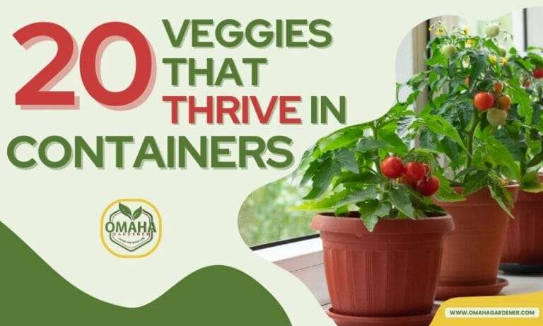 20 vegetables ideal for container gardening.