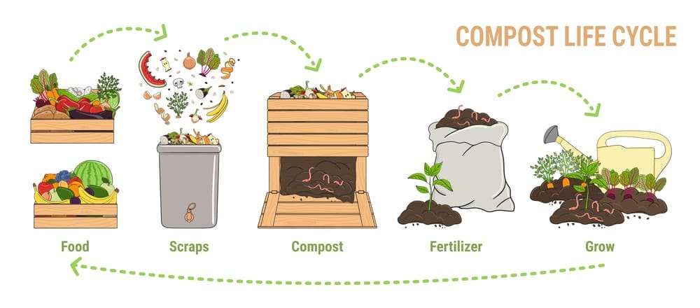 Can You Compost Pasta | Debunking Myths about Pasta and Rice 2 Illustration of the compost life cycle: food scraps, like compost pasta, are placed in a compost bin for proper decomposition, turning into fertilizer that helps plants grow—shown with images from food to thriving greenery. omahagardener.com