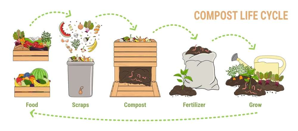 Compost Process