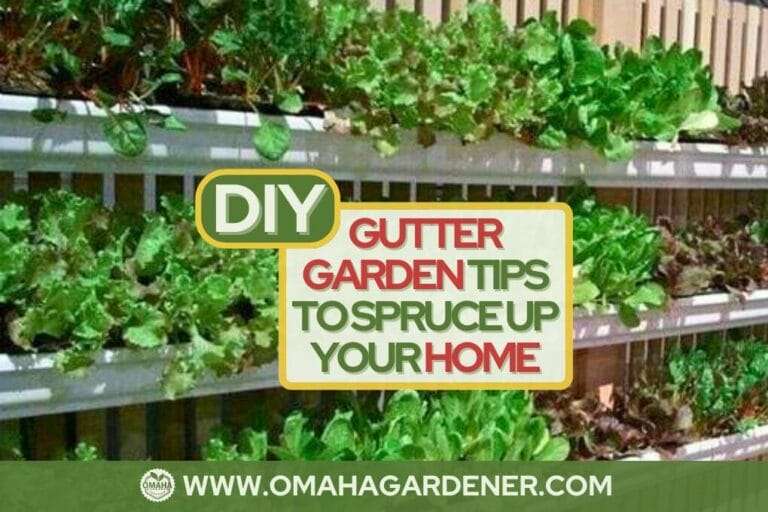 A diy gutter garden with various leafy greens, beneath a watermark for "omahagardener.com," overlaid by a sign saying "diy gutter garden tips to spruce up your home. omahagardener.com
