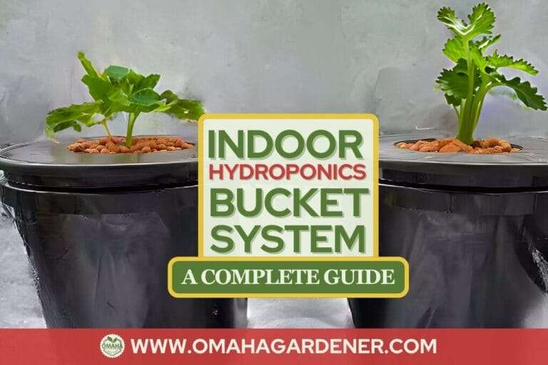 Two hydroponic bucket systems with mustard greens displayed on a promotional image titled "indoor hydroponics bucket system - a complete guide" from omahagardener.com. omahagardener.com